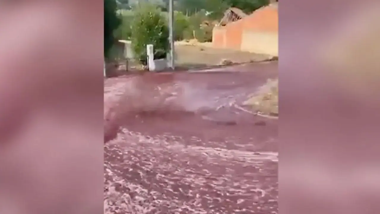 Shocking! 2.2 million litres of red wine flows through Portugal town; here's what happened WATCH Shocking! 2.2 million litres of red wine flows through Portugal town; here's what happened WATCH