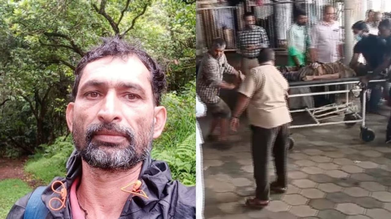 ട്രക്കിങ് നടത്തവെ മുന്നിൽ കാട്ടാന; വയനാട്ടില് വനം വാച്ചറെ ആന ചവിട്ടിക്കൊന്നു, സഞ്ചാരികൾ ഓടിരക്ഷപ്പെട്ടു ട്രക്കിങ് നടത്തവെ മുന്നിൽ കാട്ടാന; വയനാട്ടില് വനം വാച്ചറെ ആന ചവിട്ടിക്കൊന്നു, സഞ്ചാരികൾ ഓടിരക്ഷപ്പെട്ടു