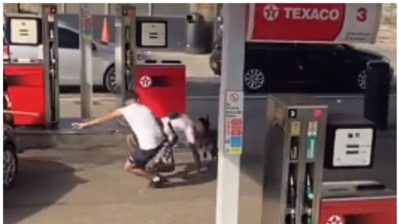 അമേരിക്കൻ ബുള്ളിയുടെ ആക്രമണത്തിൽ 11 വയസ്സുകാരിക്ക് ഗുരുതര പരിക്ക്; ഭയപ്പെടുത്തുന്ന ദൃശ്യങ്ങൾ പുറത്ത് !