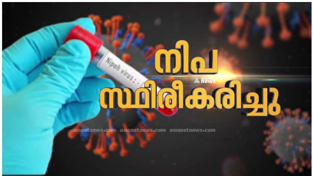 കേരളത്തിൽ വീണ്ടും നിപ, കോഴിക്കോട്ട് മരിച്ച രണ്ട് പേർക്ക് സ്ഥിരീകരിച്ചതായി കേന്ദ്ര ആരോഗ്യമന്ത്രി കേരളത്തിൽ വീണ്ടും നിപ, കോഴിക്കോട്ട് മരിച്ച രണ്ട് പേർക്ക് സ്ഥിരീകരിച്ചതായി കേന്ദ്ര ആരോഗ്യമന്ത്രി