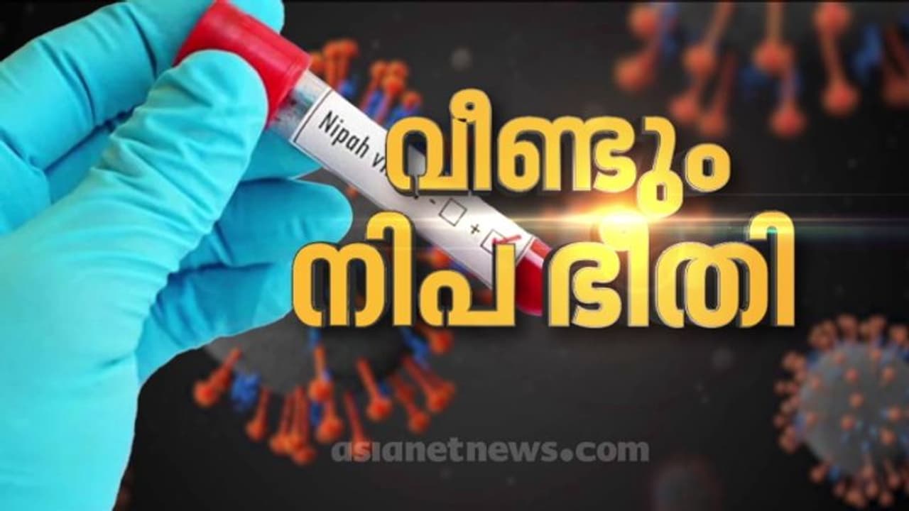 നിപയിൽ അതീവ ജാഗ്രത; ആദ്യം മരിച്ചയാള്ക്കും രോഗം സ്ഥിരീകരിച്ചു, വിദ്യാഭ്യാസ സ്ഥാപനങ്ങള്ക്കുള്ള അവധി തുടരും നിപയിൽ അതീവ ജാഗ്രത; ആദ്യം മരിച്ചയാള്ക്കും രോഗം സ്ഥിരീകരിച്ചു, വിദ്യാഭ്യാസ സ്ഥാപനങ്ങള്ക്കുള്ള അവധി തുടരും