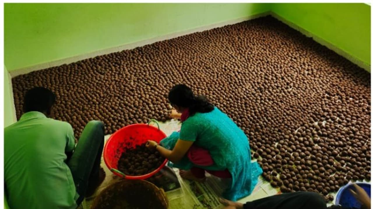 ഇരുപതിനായിരം 'വിത്തുരുള'കള്; കേരളത്തിലെ കാടുകളില് ഇനി ഹുസൈന്റെ ഓര്മ്മകള് തണല് വിരിക്കും ! ഇരുപതിനായിരം 'വിത്തുരുള'കള്; കേരളത്തിലെ കാടുകളില് ഇനി ഹുസൈന്റെ ഓര്മ്മകള് തണല് വിരിക്കും !