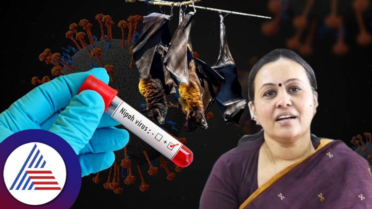 ನಿಫಾ ವೈರಸ್ ಬಾಂಗ್ಲಾದೇಶ ರೂಪಾಂತರ, ತೀರಾ ಅಪಾಯಕಾರಿ: ಕೇರಳ ಆರೋಗ್ಯ ಸಚಿವೆ ವೀಣಾ ಜಾರ್ಜ್ ನಿಫಾ ವೈರಸ್ ಬಾಂಗ್ಲಾದೇಶ ರೂಪಾಂತರ, ತೀರಾ ಅಪಾಯಕಾರಿ: ಕೇರಳ ಆರೋಗ್ಯ ಸಚಿವೆ ವೀಣಾ ಜಾರ್ಜ್