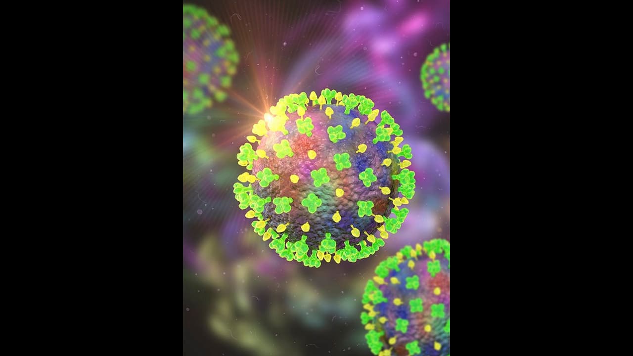 ಕೇರಳದಲ್ಲಿ ಮಾರಣಾಂತಿಕ ನಿಪಾ ವೈರಸ್: ಕರ್ನಾಟಕದಲ್ಲೂ ಕಟ್ಟೆಚ್ಚರ ಕೇರಳದಲ್ಲಿ ಮಾರಣಾಂತಿಕ ನಿಪಾ ವೈರಸ್: ಕರ್ನಾಟಕದಲ್ಲೂ ಕಟ್ಟೆಚ್ಚರ