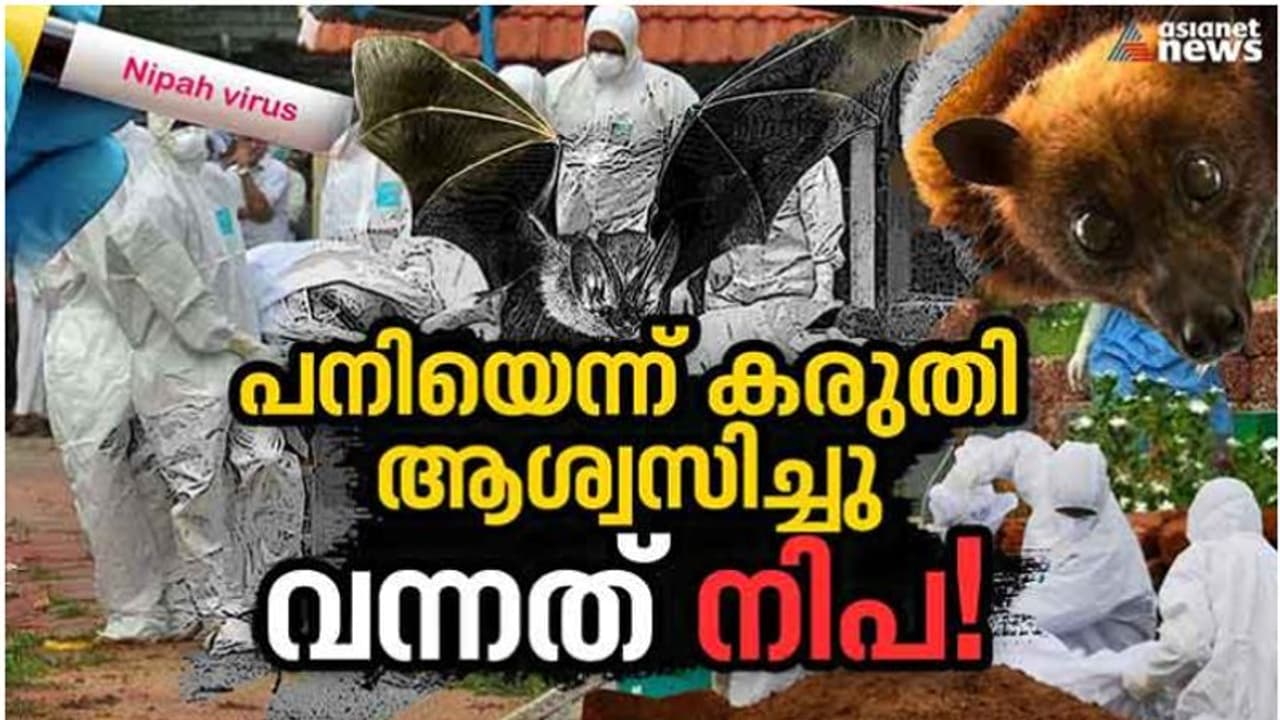 ആരോഗ്യമന്ത്രി കെകെ ശൈലജയുടെ ഫോണിലേക്ക് 2018 ൽ എത്തിയ ഒരു കോൾ; ശേഷം ആശങ്ക, ഭീതി! അന്ന് ജയിച്ചു, ഇന്നും ജയിക്കും ആരോഗ്യമന്ത്രി കെകെ ശൈലജയുടെ ഫോണിലേക്ക് 2018 ൽ എത്തിയ ഒരു കോൾ; ശേഷം ആശങ്ക, ഭീതി! അന്ന് ജയിച്ചു, ഇന്നും ജയിക്കും