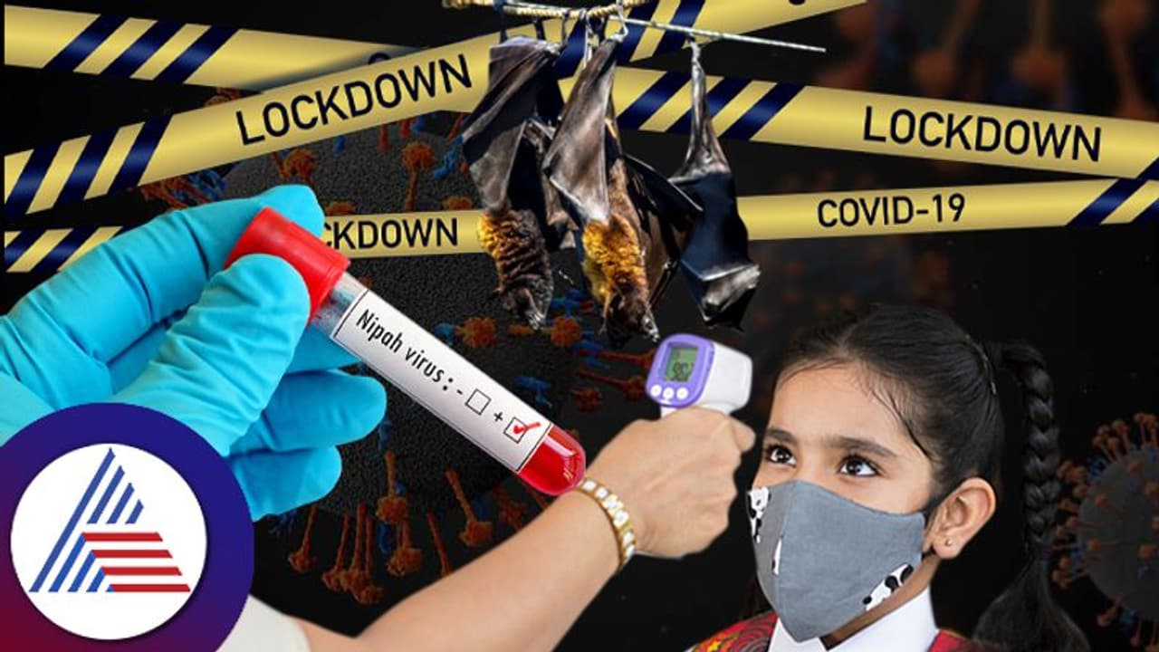 ಕೇರಳದಲ್ಲಿ ಡೇಂಜರಸ್ ನಿಫಾ ಆರ್ಭಟ, ಶಾಲಾ ಕಾಲೇಜಿಗೆ ರಜೆ; ಲಾಕ್ಡೌನ್ ಘೋಷಿಸುತ್ತಾ ಸರ್ಕಾರ? ಕೇರಳದಲ್ಲಿ ಡೇಂಜರಸ್ ನಿಫಾ ಆರ್ಭಟ, ಶಾಲಾ ಕಾಲೇಜಿಗೆ ರಜೆ; ಲಾಕ್ಡೌನ್ ಘೋಷಿಸುತ್ತಾ ಸರ್ಕಾರ?