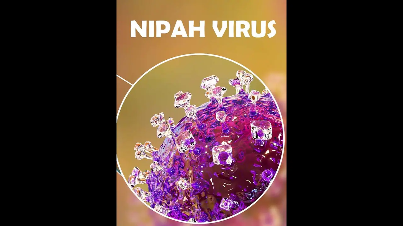 Nipah outbreak: Karnataka intensifies vehicle checking on borders from Kerala's three districts; Read