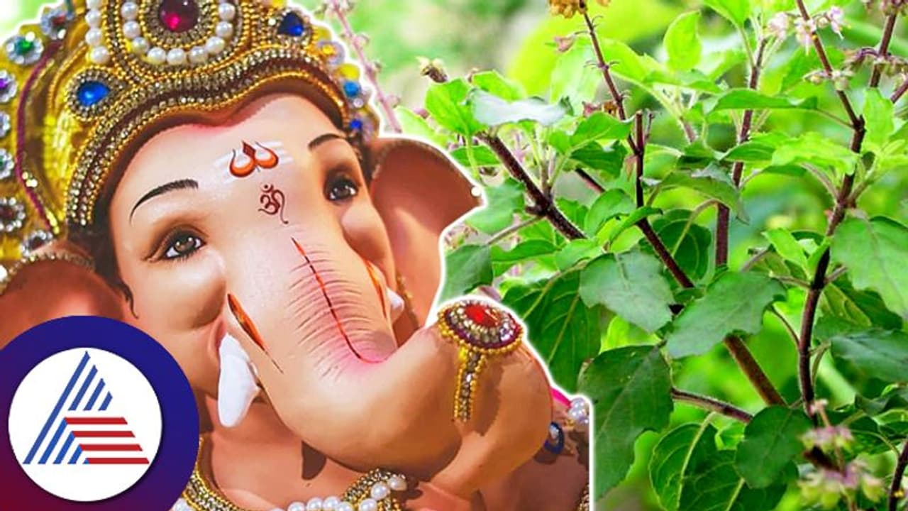 ಗಣೇಶನನ್ನು ಪೂಜಿಸುವಾಗ ಈ ತಪ್ಪನ್ನೆಲ್ಲಾ ಮಾಡಲೇಬೇಡಿ, ಅಷ್ಟಕ್ಕೂ ಅವನಿಗೇಕೆ ತುಳಸಿ ವರ್ಜ್ಯ? ಗಣೇಶನನ್ನು ಪೂಜಿಸುವಾಗ ಈ ತಪ್ಪನ್ನೆಲ್ಲಾ ಮಾಡಲೇಬೇಡಿ, ಅಷ್ಟಕ್ಕೂ ಅವನಿಗೇಕೆ ತುಳಸಿ ವರ್ಜ್ಯ?