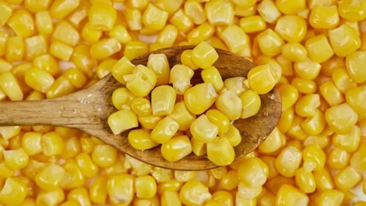 Health: 5 astonishing benefits of Sweet Corn on your Body Health: 5 astonishing benefits of Sweet Corn on your Body