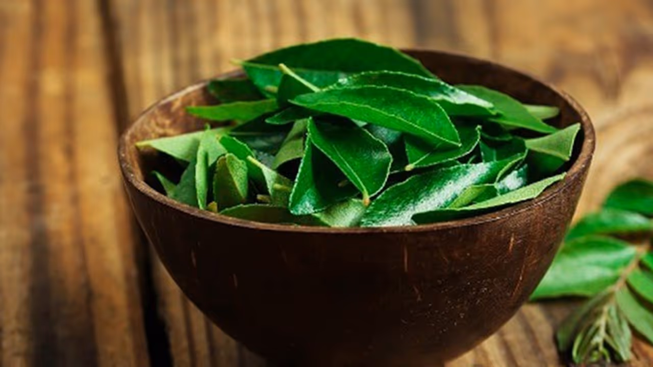 Curry Leaves Curry Leaves