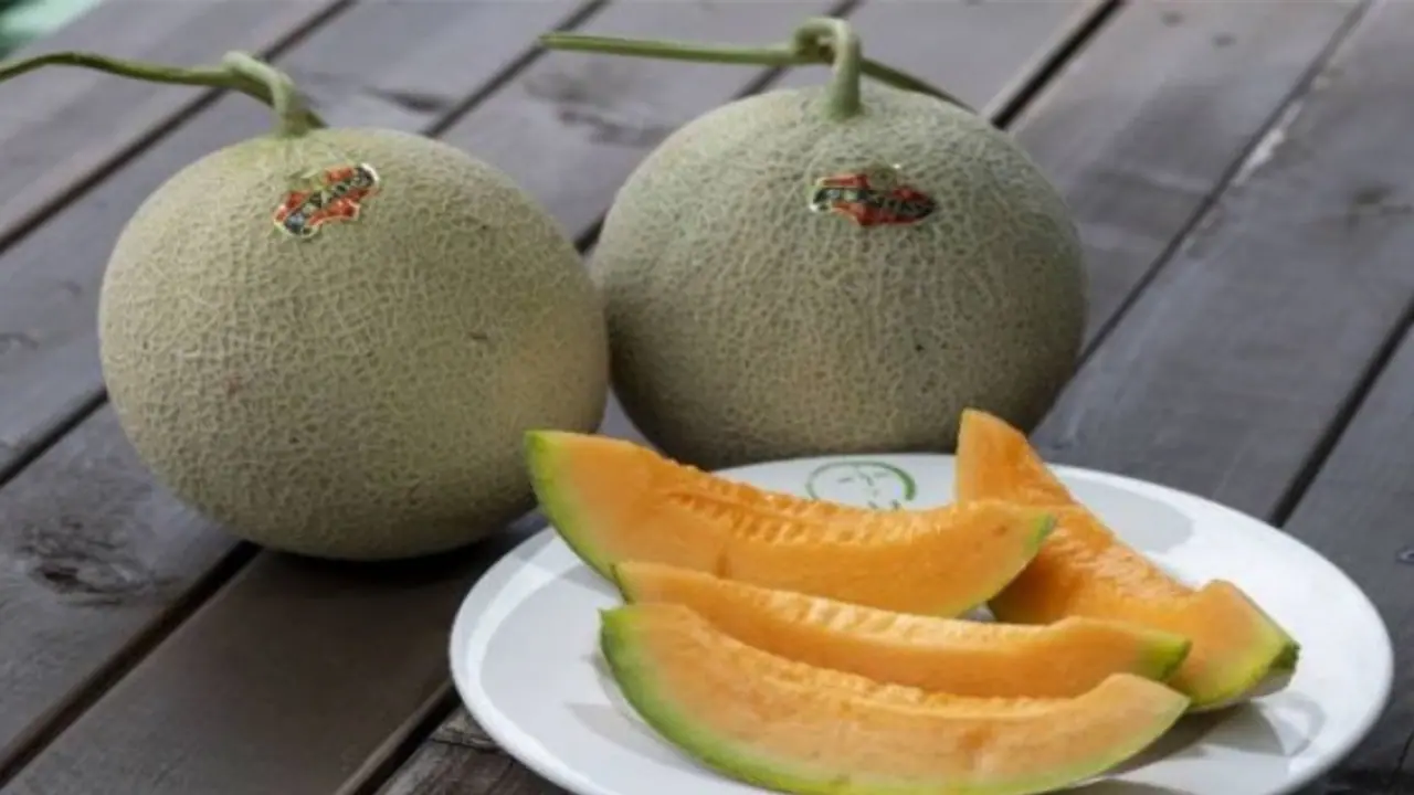 Melon: ఖర్బుజా ఫ్రిజ్ లో పెట్టకూడదా? Melon: ఖర్బుజా ఫ్రిజ్ లో పెట్టకూడదా?