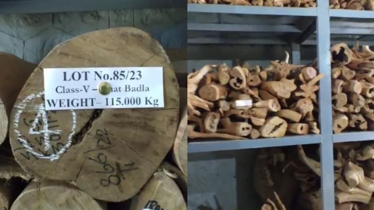 മറയൂര് ചന്ദന ലേലം: 37 കോടിയുടെ വില്പ്പന, ഏറ്റവും കൂടുതല് ചന്ദനം വാങ്ങിയത് കര്ണാടക സോപ്സ് മറയൂര് ചന്ദന ലേലം: 37 കോടിയുടെ വില്പ്പന, ഏറ്റവും കൂടുതല് ചന്ദനം വാങ്ങിയത് കര്ണാടക സോപ്സ്