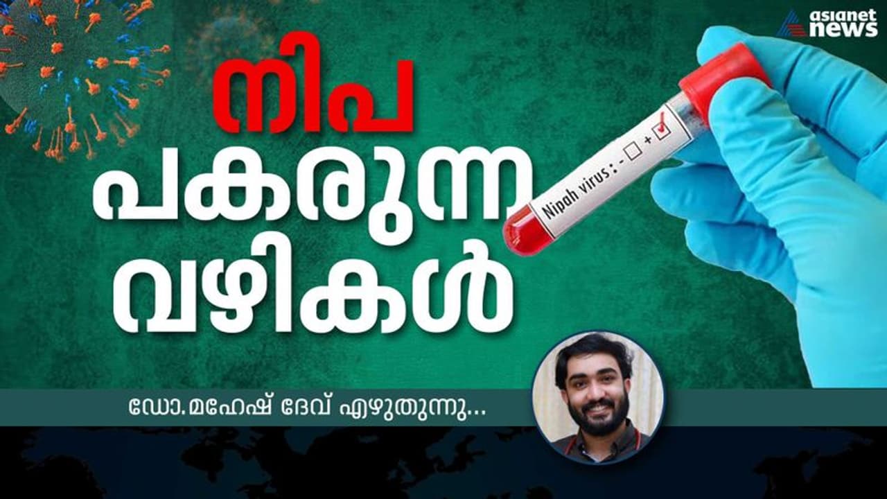നിപ വെെറസ് പകരുന്നത് എങ്ങനെ? രോഗലക്ഷണങ്ങൾ എന്തൊക്കെ? നിപ വെെറസ് പകരുന്നത് എങ്ങനെ? രോഗലക്ഷണങ്ങൾ എന്തൊക്കെ?