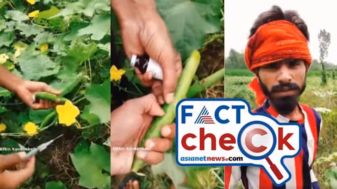 'ഭയാനകം, പച്ചക്കറികളില് കീടനാശിനി കുത്തിവെക്കുന്നത് കയ്യോടെ പിടികൂടി'; വീഡിയോ സത്യമോ Fact Check 'ഭയാനകം, പച്ചക്കറികളില് കീടനാശിനി കുത്തിവെക്കുന്നത് കയ്യോടെ പിടികൂടി'; വീഡിയോ സത്യമോ Fact Check