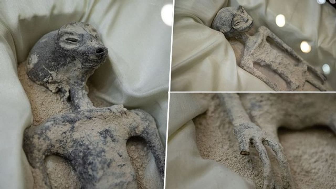 ಮೆಕ್ಸಿಕೋ ಸಂಸತ್ತಿನಲ್ಲಿ ಪ್ರದರ್ಶಿಸಿದ ಏಲಿಯನ್ಸ್ ಜೀವಂತವಾಗಿತ್ತು, ಬೆಚ್ಚಿ ಬೀಳಿಸಿದ ವೈದ್ಯರ ಪರೀಕ್ಷೆ! ಮೆಕ್ಸಿಕೋ ಸಂಸತ್ತಿನಲ್ಲಿ ಪ್ರದರ್ಶಿಸಿದ ಏಲಿಯನ್ಸ್ ಜೀವಂತವಾಗಿತ್ತು, ಬೆಚ್ಚಿ ಬೀಳಿಸಿದ ವೈದ್ಯರ ಪರೀಕ್ಷೆ!