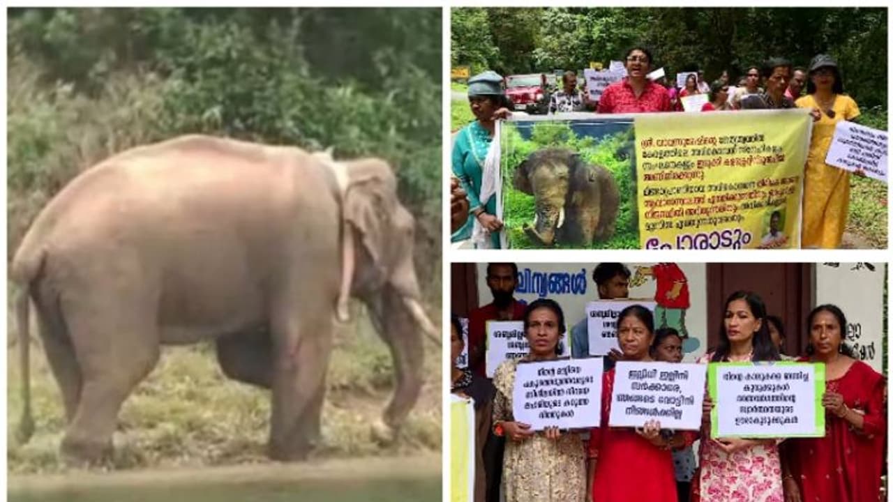 'അവനിപ്പോ ജീവനോടെ ഉണ്ടോയെന്നു പോലും സംശയമാണ്'; അരിക്കൊമ്പന് വേണ്ടി പുതിയ ആവശ്യവുമായി മൃ​ഗസ്നേഹികളുടെ ധര്‍ണ