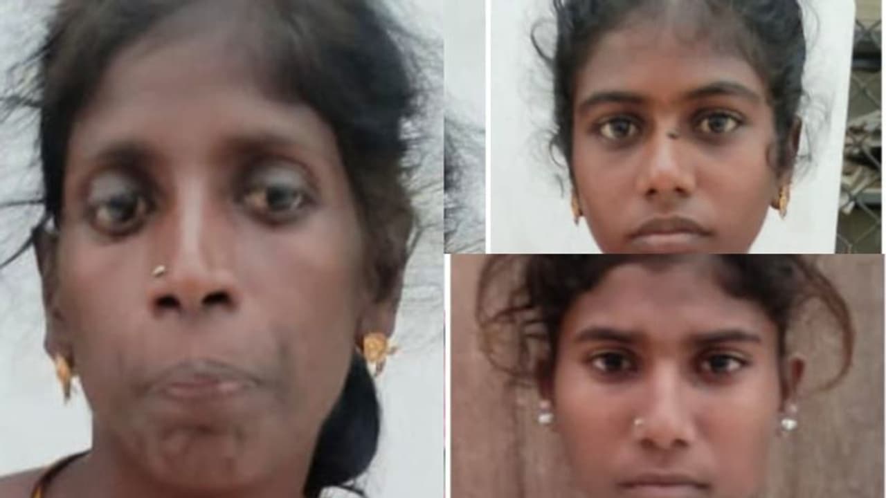 വീടുപണി നടക്കുന്ന സ്ഥലത്ത് പട്ടാപകല് കവര്ച്ച, ടിന് ഷീറ്റുകളുമായി കടന്ന നാടോടി സ്ത്രീകള് പിടിയില് വീടുപണി നടക്കുന്ന സ്ഥലത്ത് പട്ടാപകല് കവര്ച്ച, ടിന് ഷീറ്റുകളുമായി കടന്ന നാടോടി സ്ത്രീകള് പിടിയില്