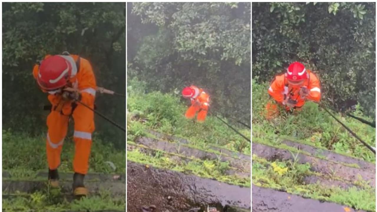 കുരങ്ങന്‍റെ വികൃതി! ചുരത്തിൽ നിന്ന് കൊക്കയിലേക്ക് എറിഞ്ഞത് 75000 രൂപയുടെ ഐഫോൺ, റോപ് കെട്ടിയിറങ്ങി ഫയ‍ർഫോഴ്സ്