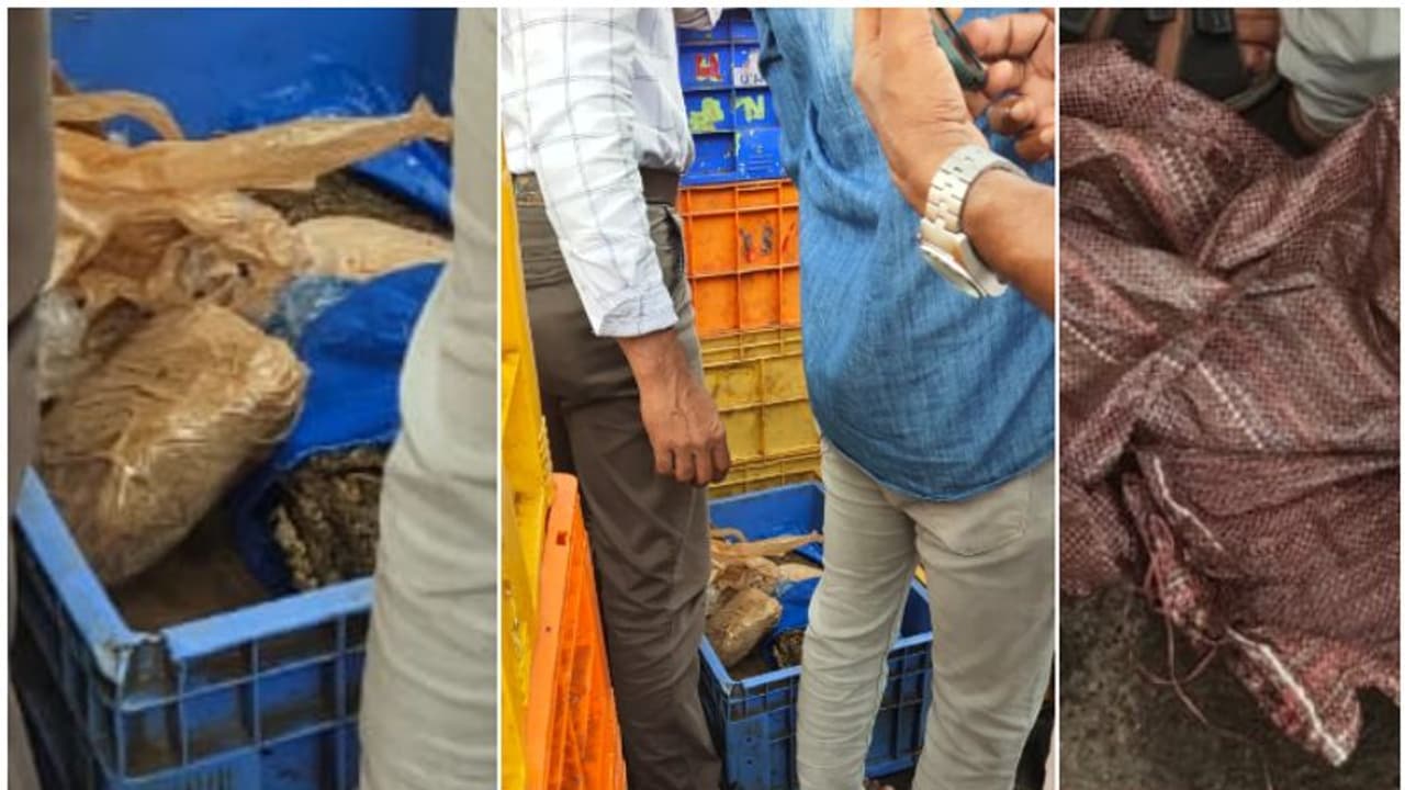 പുറത്ത് നിന്ന് നോക്കിയാല് വെറുമൊരു മീൻ വണ്ടി! അകത്ത് ഒളിപ്പിച്ച വലിയ രഹസ്യം പുറത്തായി, ഞെട്ടി പൊലീസും പുറത്ത് നിന്ന് നോക്കിയാല് വെറുമൊരു മീൻ വണ്ടി! അകത്ത് ഒളിപ്പിച്ച വലിയ രഹസ്യം പുറത്തായി, ഞെട്ടി പൊലീസും