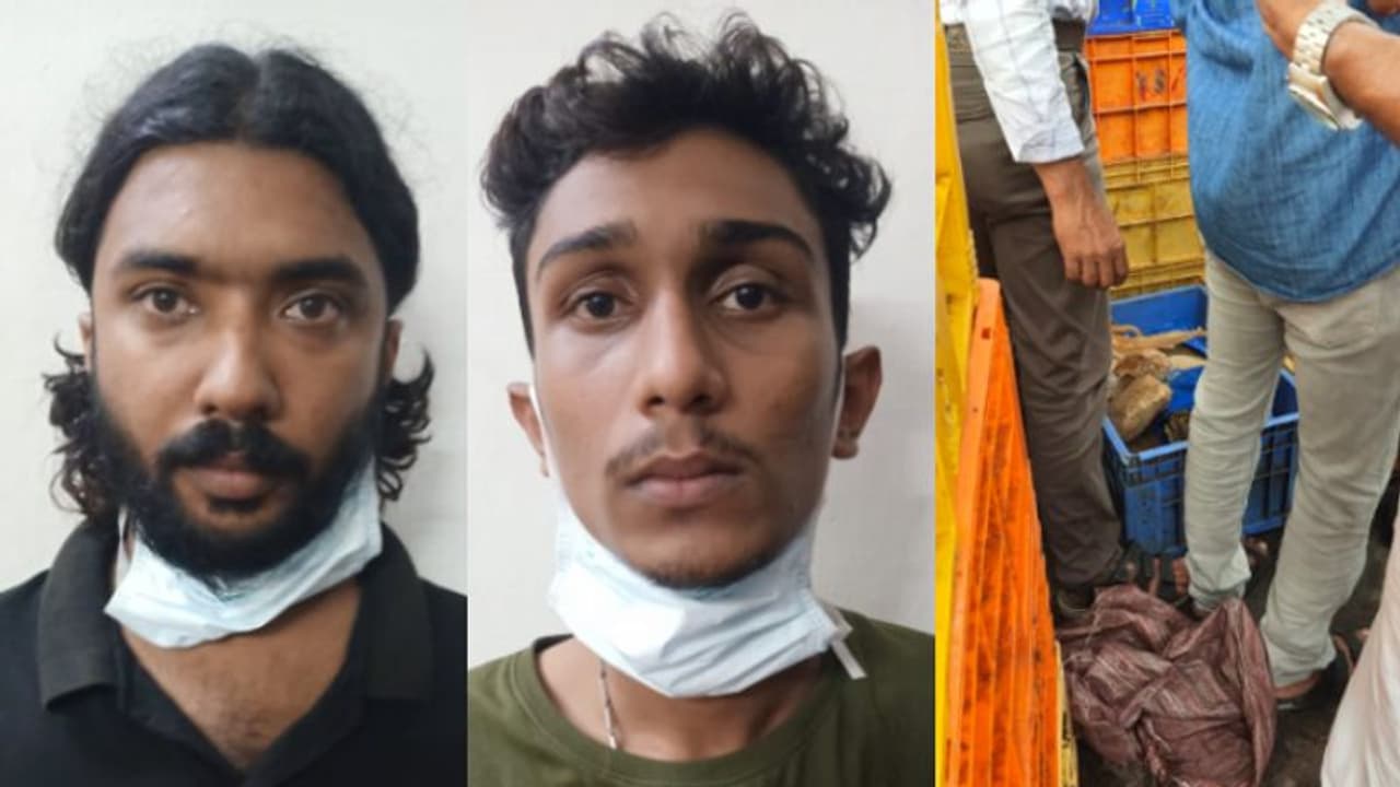 മീൻ കയറ്റുന്ന വാൻ, ഉള്ളിൽ 50 മീൻ പെട്ടികൾക്കിടയിൽ 29 കിലോ കഞ്ചാവ്, വില 10 ലക്ഷം; മലപ്പുറം സ്വദേശികൾ അറസ്റ്റിൽ 