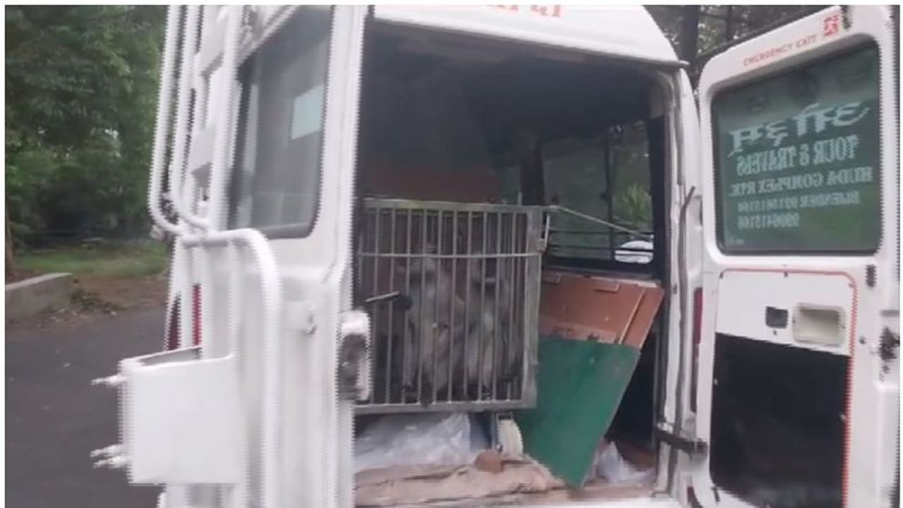 ചാടിപ്പോയി തിരിച്ച് വന്ന കഥയൊക്കെ പറയാൻ കൂട്ടായി! ഹരിയാനയിൽ നിന്ന് രണ്ട് സൂപ്പർ അതിഥികൾ തലസ്ഥാനത്തെത്തി ചാടിപ്പോയി തിരിച്ച് വന്ന കഥയൊക്കെ പറയാൻ കൂട്ടായി! ഹരിയാനയിൽ നിന്ന് രണ്ട് സൂപ്പർ അതിഥികൾ തലസ്ഥാനത്തെത്തി