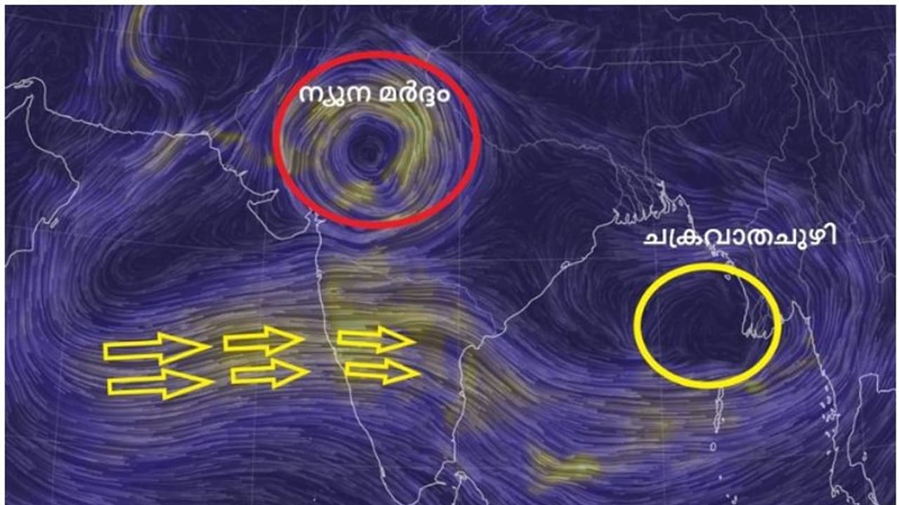 അറബിക്കടലിലെ ന്യൂനമർദ്ദം ചക്രവാതച്ചുഴിയായി, കേരളത്തിൽ 7 ജില്ലകളിൽ യെല്ലോ അലർട്ട്, 3 നാൾ മഴ തുടരും അറബിക്കടലിലെ ന്യൂനമർദ്ദം ചക്രവാതച്ചുഴിയായി, കേരളത്തിൽ 7 ജില്ലകളിൽ യെല്ലോ അലർട്ട്, 3 നാൾ മഴ തുടരും