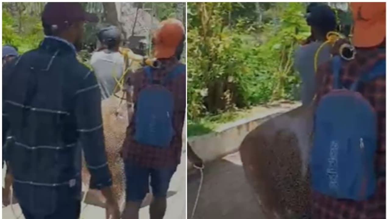 കടലോരത്ത് ചുമ്മാ ചൂണ്ടയിട്ട് ഇരുന്നതാ! എന്തോ കൊളുത്തി, വലിച്ചിട്ട് താങ്ങാനാവാത്ത ഭാരം; അടിച്ച് മോനേ 6000 രൂപ