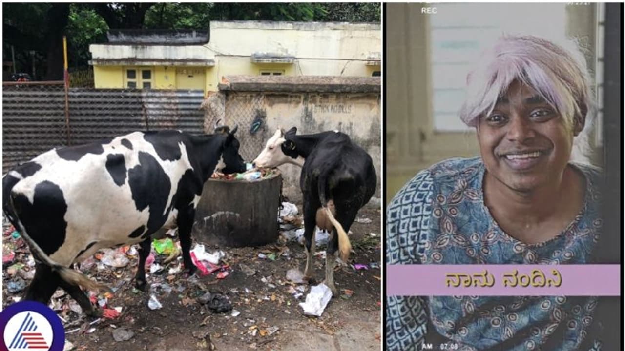 ನಾನು ನಂದಿನಿ, ಬೆಂಗಳೂರಿಗೆ ಬಂದೀನಿ... ವೈರಲ್‌ ಹಾಡಿಗೆ ಹೊಸ ಲೈನ್‌ ಸೇರಿಸಿದ ಬೆಂಗ್ಳೂರ್‌ ಮಂದಿ!