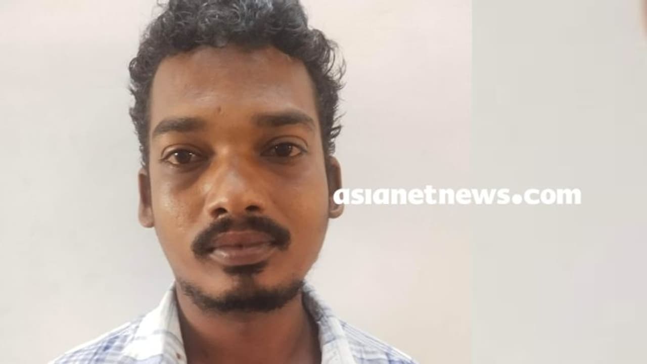 പലചരക്ക് കടയിൽ സാധനം വാങ്ങുകയായിരുന്ന സ്ത്രീയുടെ മാല പൊട്ടിച്ച് കടന്ന കേസിൽ പ്രതി അറസ്റ്റിൽ