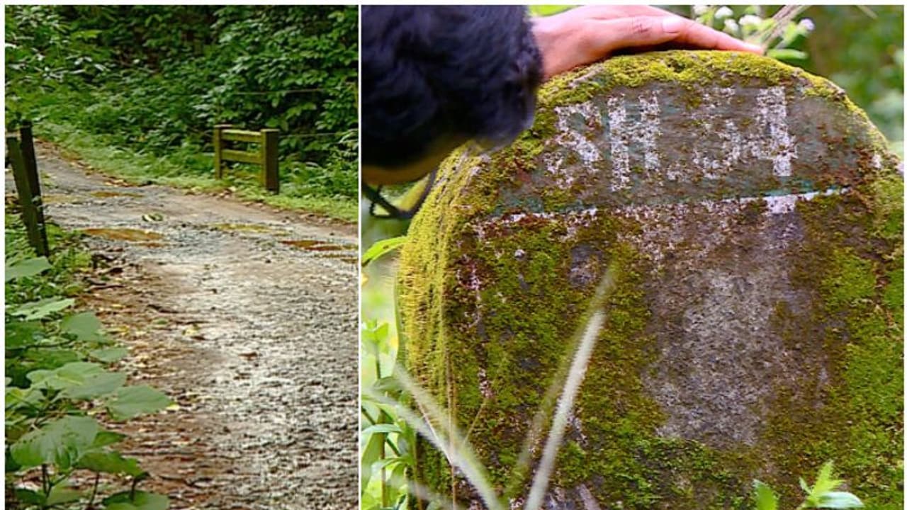 കേരളത്തിന്‍റെ സ്വപ്നമായ സൂപ്പർ റോഡ്, സമയവും ദൂരവും ലാഭിക്കാം; കാടിന് മുന്നിൽ കുടുങ്ങിയ വഴിക്ക് ഇതാ പുതുജീവൻ?