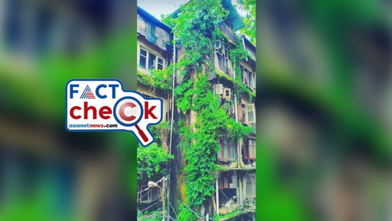 'പിണറായിക്കാലത്ത് കാടുമൂടി തലശ്ശേരി ജനറല് ആശുപത്രി'; കള്ളം പൊളിഞ്ഞു, വൈറല് ചിത്രം വ്യാജം Fact Check 'പിണറായിക്കാലത്ത് കാടുമൂടി തലശ്ശേരി ജനറല് ആശുപത്രി'; കള്ളം പൊളിഞ്ഞു, വൈറല് ചിത്രം വ്യാജം Fact Check