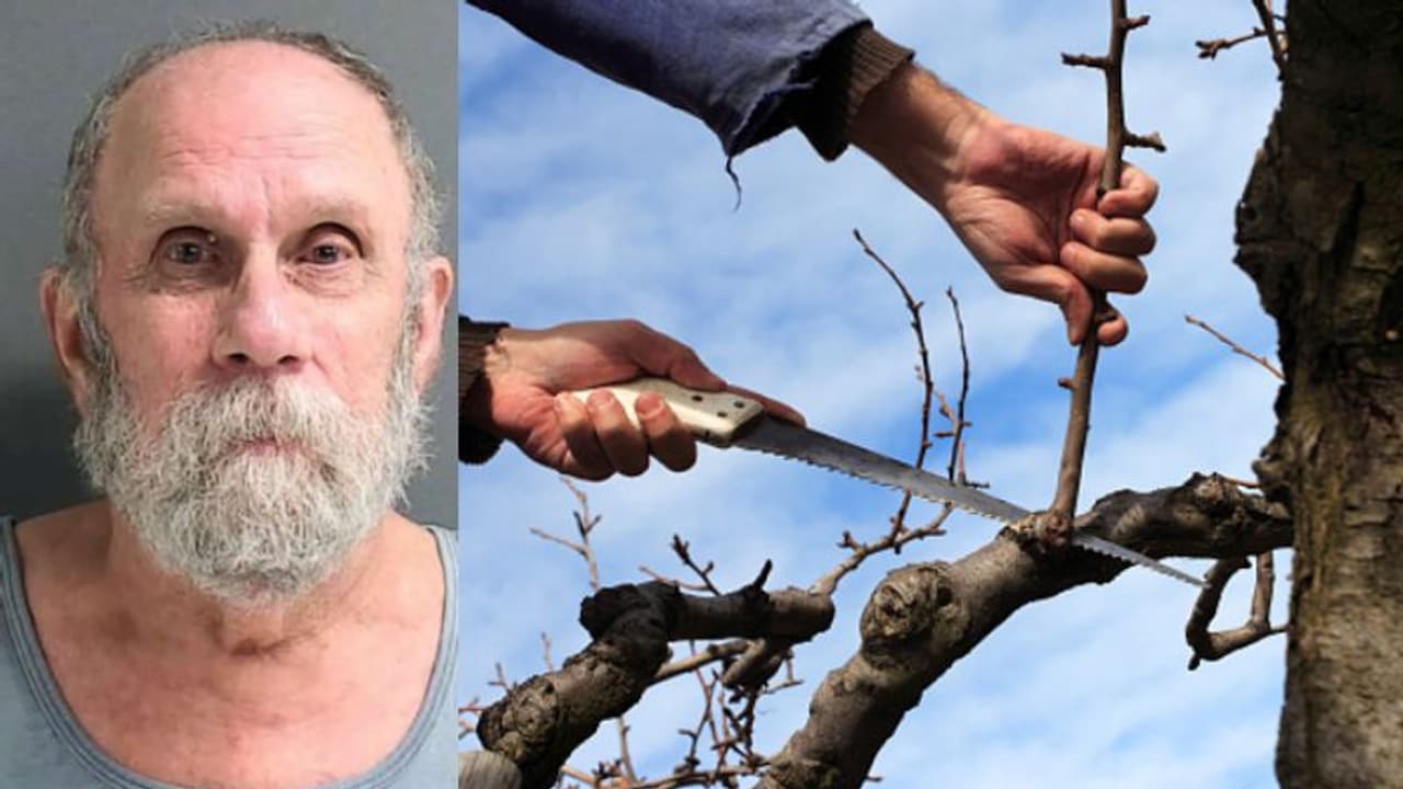 വേലിക്കരികിലെ മരത്തിന്റെ ചില്ല മുറിച്ച് അയല്വാസി, വെടിവച്ചുകൊന്ന് 78 കാരന് വേലിക്കരികിലെ മരത്തിന്റെ ചില്ല മുറിച്ച് അയല്വാസി, വെടിവച്ചുകൊന്ന് 78 കാരന്