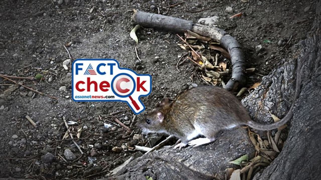 ഒരു എലിയെ പിടിക്കാന്‍ റെയില്‍വേ മുടക്കിയത് 41000 രൂപ! ഞെട്ടിച്ച് കണക്ക് Fact Check