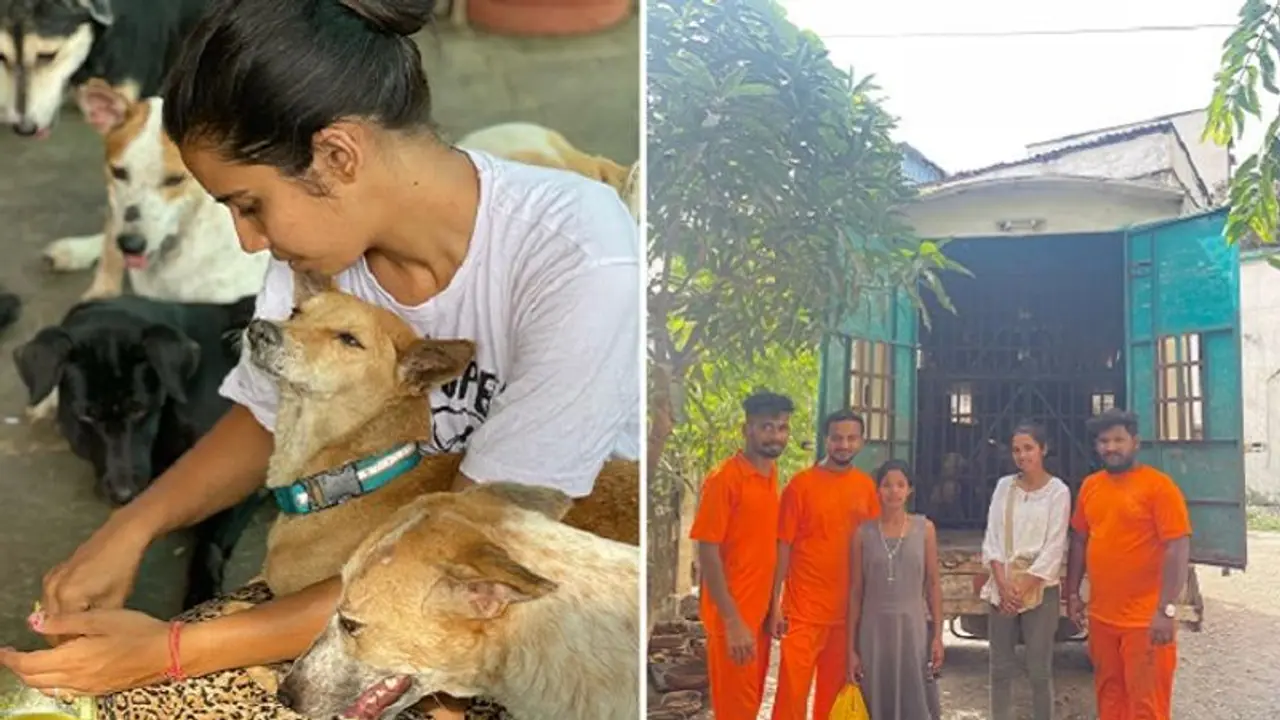 A responsible animal lover: Harsimran’s tireless commitment to serve street dogs