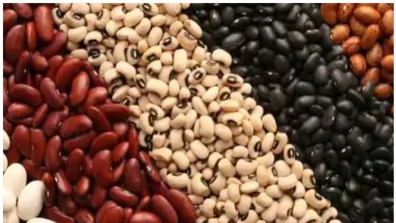 പയർവർഗങ്ങൾ കഴിക്കണമെന്ന് പറയുന്നതിന്റെ കാരണമറിയാം പയർവർഗങ്ങൾ കഴിക്കണമെന്ന് പറയുന്നതിന്റെ കാരണമറിയാം