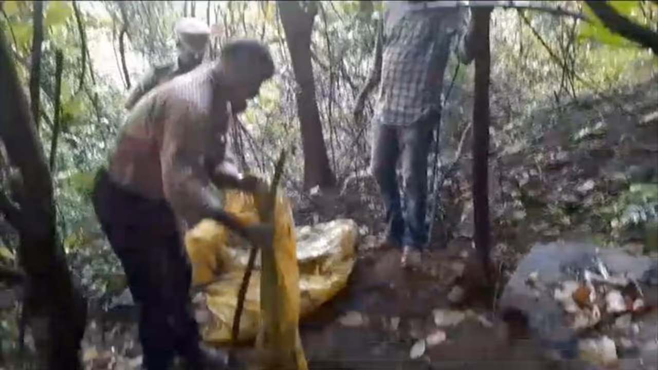 നിലമ്പൂരിൽ നാട്ടിലിറങ്ങിയ കാട്ടാന പൂസായി കിടന്നു, ആനയുടെ കാൽപാട് നോക്കി പോയപ്പോഴല്ലേ കാര്യം പിടികിട്ടിയത്! നിലമ്പൂരിൽ നാട്ടിലിറങ്ങിയ കാട്ടാന പൂസായി കിടന്നു, ആനയുടെ കാൽപാട് നോക്കി പോയപ്പോഴല്ലേ കാര്യം പിടികിട്ടിയത്!