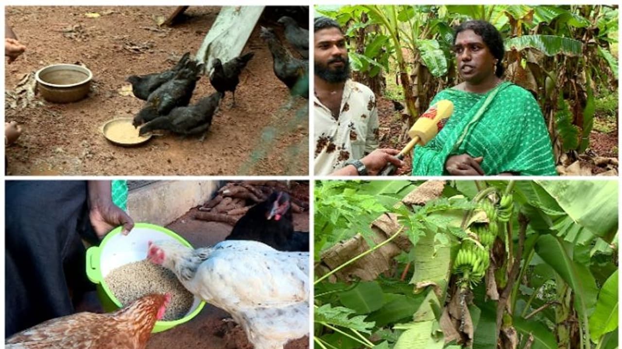  മൂന്നേക്കറിൽ കോഴിയും താറാവും ആടും കൃഷിയും; മണ്ണിൽ പൊന്ന് വിളയിച്ച് ട്രാന്‍സ് വുമന്‍ ശ്രാവന്തിക 