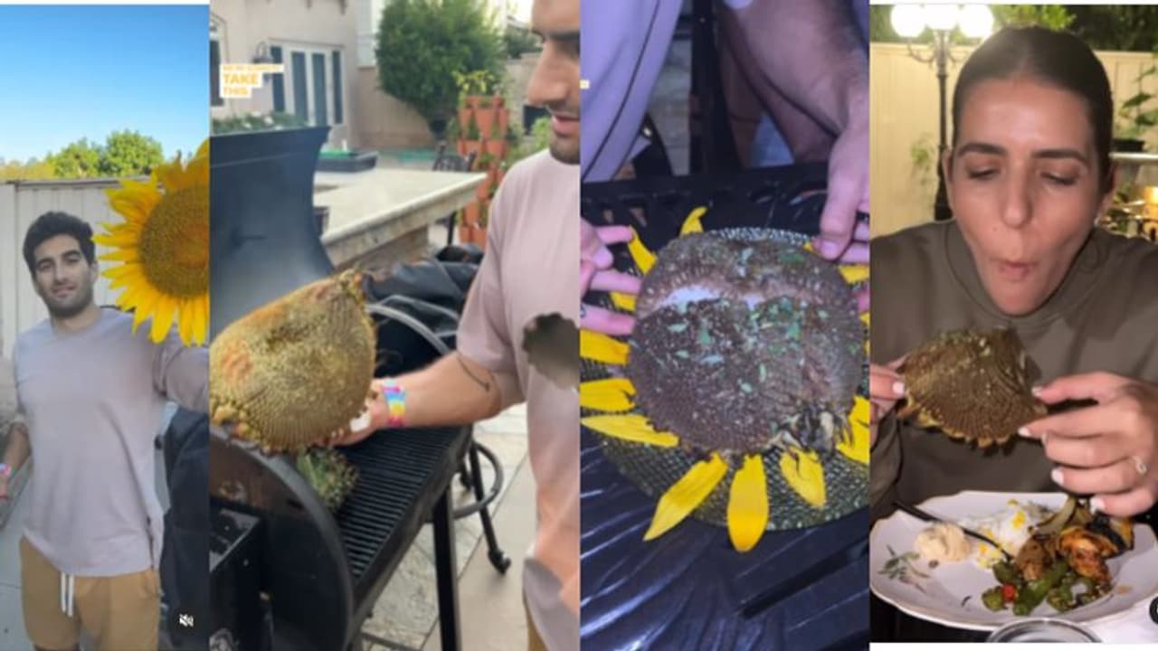 സൂര്യകാന്തിപ്പൂക്കൾ ഇങ്ങനെ കഴിക്കുന്നത് നിങ്ങള്‍ കണ്ടിട്ടുണ്ടോ? വൈറലായി വീഡിയോ... 