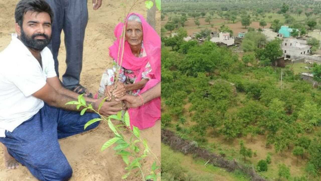 ആറ് വര്‍ഷം കൊണ്ട് നട്ടുപിടിപ്പിച്ചത് 51,000 മരങ്ങള്‍; ഇതാ ടെക്കി 'ട്രീ മാന്‍'