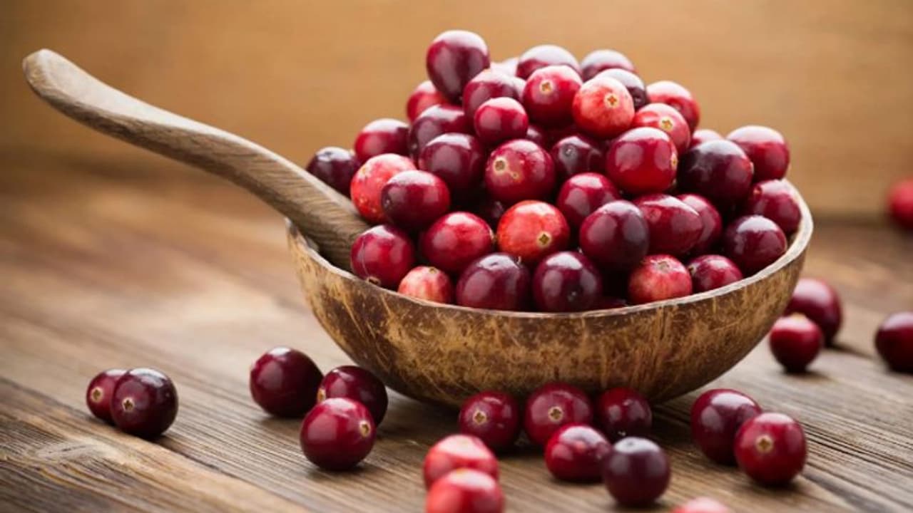 ലോലോലിക്ക കഴിക്കാന് ഇഷ്ടമാണോ? അറിയാം ഇക്കാര്യങ്ങള്... ലോലോലിക്ക കഴിക്കാന് ഇഷ്ടമാണോ? അറിയാം ഇക്കാര്യങ്ങള്...