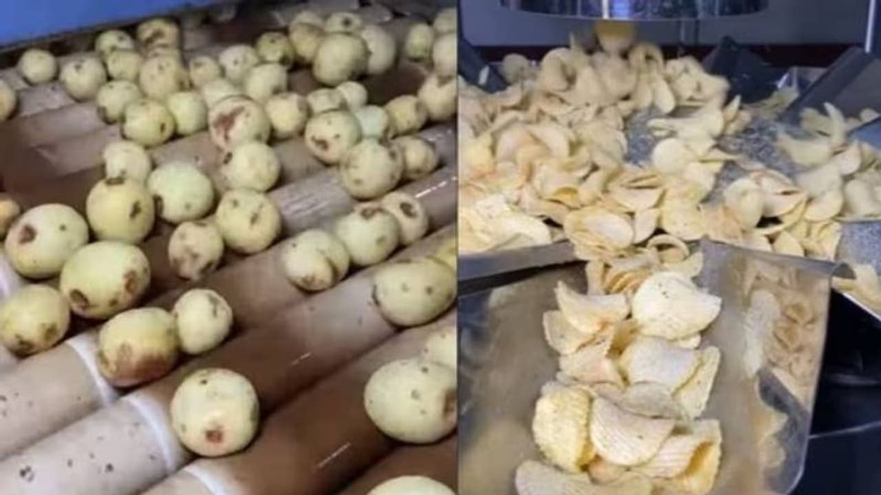 അപ്പോൾ ചിപ്‍സുണ്ടാക്കുന്നത് ഇങ്ങനെയാണോ? ഫാക്ടറിയിൽ നിന്നുള്ള വീഡിയോ!!!