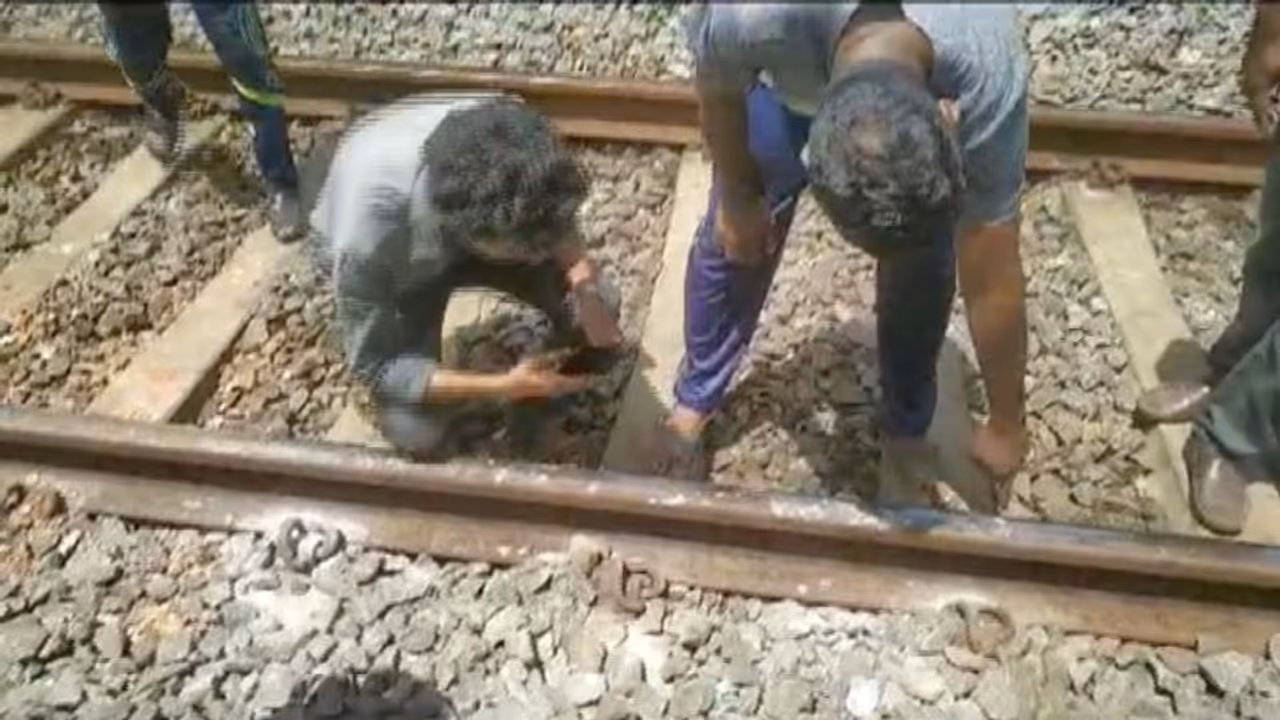 ഇനി കുട്ടികളാണെന്ന് നോക്കില്ല! നടപടി, ശബ്ദവും പുകയും കാണാൻ റെയിൽ പാളത്തിൽ കല്ല് വയ്ക്കുന്നവരോട് പൊലീസ്! ഇനി കുട്ടികളാണെന്ന് നോക്കില്ല! നടപടി, ശബ്ദവും പുകയും കാണാൻ റെയിൽ പാളത്തിൽ കല്ല് വയ്ക്കുന്നവരോട് പൊലീസ്!