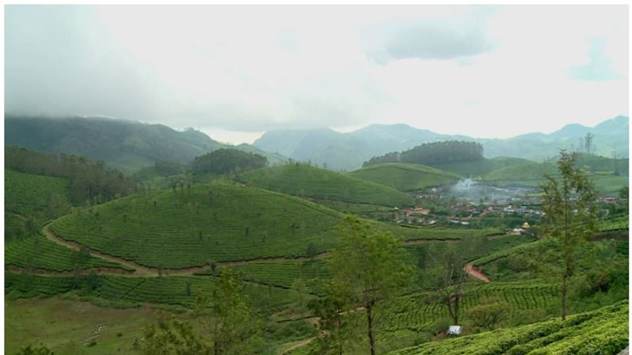 മിച്ചഭൂമി കേസിൽ പുരോഗതി; 3 മാസത്തിനകം സര്ക്കാര് തിരിച്ച് പിടിച്ചത് 311 ഏക്കര് ഭൂമി മിച്ചഭൂമി കേസിൽ പുരോഗതി; 3 മാസത്തിനകം സര്ക്കാര് തിരിച്ച് പിടിച്ചത് 311 ഏക്കര് ഭൂമി