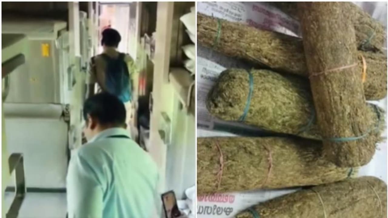 'ഒറ്റ നോട്ടത്തില് ബൊക്കെ, മണത്ത് നോക്കി റോക്കി'; തൃശൂരിലെ ലഹരിസംഘത്തെ പിടികൂടിയത് ഇങ്ങനെ 'ഒറ്റ നോട്ടത്തില് ബൊക്കെ, മണത്ത് നോക്കി റോക്കി'; തൃശൂരിലെ ലഹരിസംഘത്തെ പിടികൂടിയത് ഇങ്ങനെ