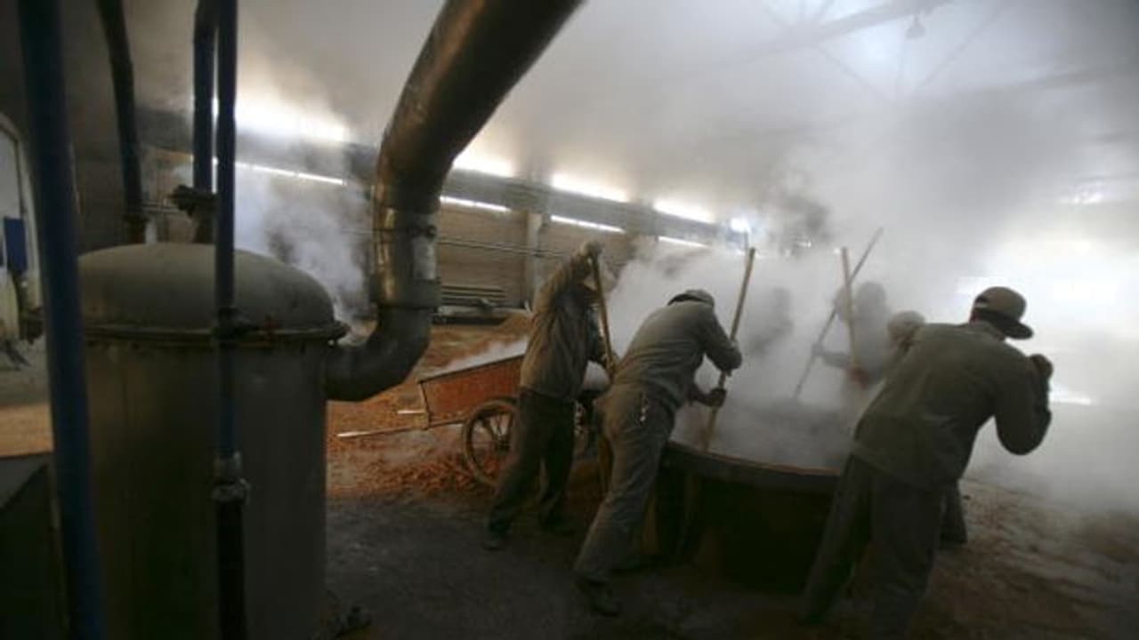 സഹപ്രവര്ത്തകനെ രക്ഷിക്കാനുള്ള ശ്രമം; ഇറ്റാലിയൻ വൈൻ നിർമ്മാതാവ് വൈൻ പാത്രത്തിൽ വീണ് മരിച്ചു ! സഹപ്രവര്ത്തകനെ രക്ഷിക്കാനുള്ള ശ്രമം; ഇറ്റാലിയൻ വൈൻ നിർമ്മാതാവ് വൈൻ പാത്രത്തിൽ വീണ് മരിച്ചു !