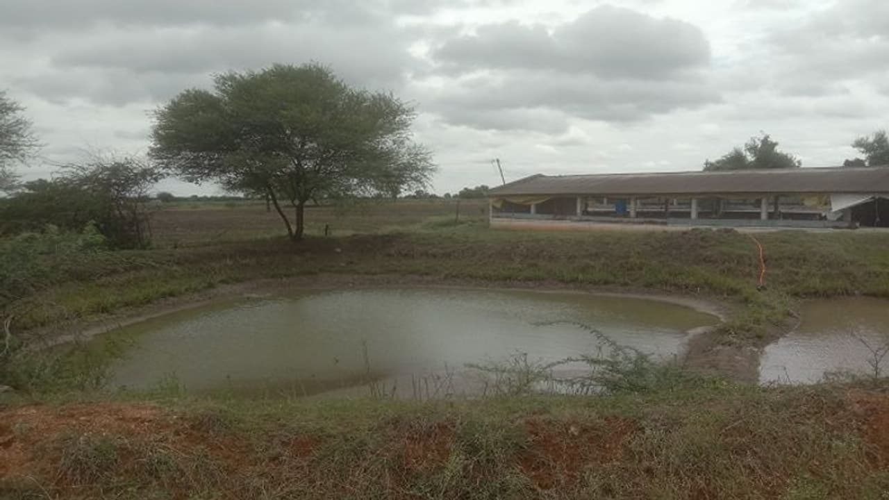 ಮುಂಗಾರು ಮಳೆ ಕೊರತೆ: ಮಳೆಗಾಲದಲ್ಲೇ ಕೃಷಿ ಹೊಂಡ ಖಾಲಿ ಖಾಲಿ, ಸಂಕಷ್ಟದಲ್ಲಿ ಅನ್ನದಾತ..! ಮುಂಗಾರು ಮಳೆ ಕೊರತೆ: ಮಳೆಗಾಲದಲ್ಲೇ ಕೃಷಿ ಹೊಂಡ ಖಾಲಿ ಖಾಲಿ, ಸಂಕಷ್ಟದಲ್ಲಿ ಅನ್ನದಾತ..!