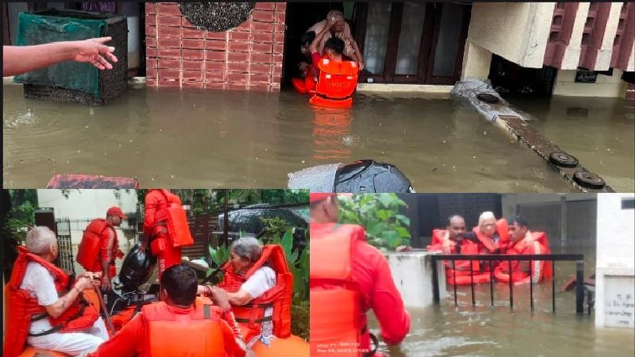 ನಾಗಪುರದಲ್ಲಿ ಭಾರೀ ಮಳೆಗೆ ಓರ್ವ ವೃದ್ಧೆ, 14 ಜಾನುವಾರು ಬಲಿ: 400 ಜನರ ಸ್ಥಳಾಂತರ ನಾಗಪುರದಲ್ಲಿ ಭಾರೀ ಮಳೆಗೆ ಓರ್ವ ವೃದ್ಧೆ, 14 ಜಾನುವಾರು ಬಲಿ: 400 ಜನರ ಸ್ಥಳಾಂತರ