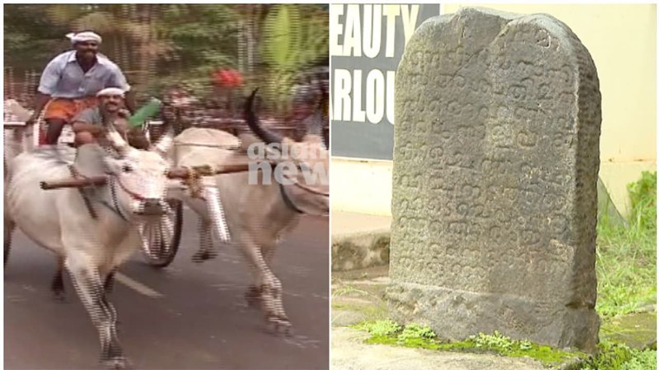 കാളവയലിന്റെ ചരിത്രം രാജഭരണകാലത്തോളം നീളുന്നത്; കാക്കൂരില് കാളയോട്ട മത്സരം പുനരാരംഭിക്കണമെന്ന ആവശ്യം കാളവയലിന്റെ ചരിത്രം രാജഭരണകാലത്തോളം നീളുന്നത്; കാക്കൂരില് കാളയോട്ട മത്സരം പുനരാരംഭിക്കണമെന്ന ആവശ്യം