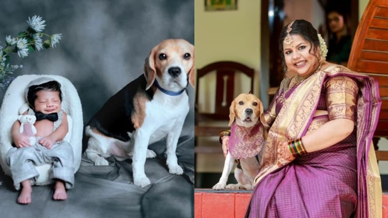 'യാദൃശ്ചികമായി ജീവിതത്തില് കിട്ടിയ ഭാഗ്യം'; സ്നേഹ ശ്രീകുമാര് എഴുതിയത്... 'യാദൃശ്ചികമായി ജീവിതത്തില് കിട്ടിയ ഭാഗ്യം'; സ്നേഹ ശ്രീകുമാര് എഴുതിയത്...