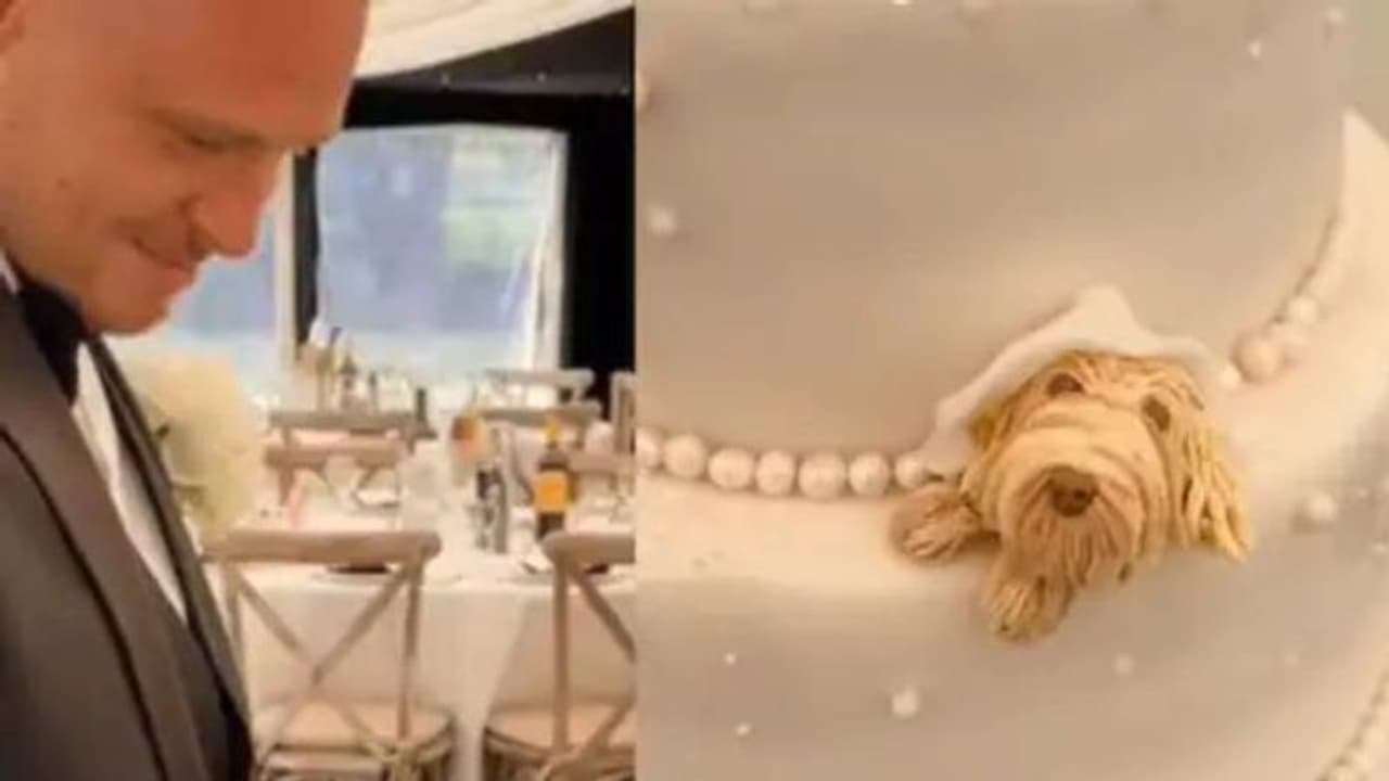 വിവാഹക്കേക്കിൽ വീട്ടിലെ 'പെറ്റും'; സന്തോഷമടക്കാനാവാതെ വരൻ, വീഡിയോ വൈറൽ വിവാഹക്കേക്കിൽ വീട്ടിലെ 'പെറ്റും'; സന്തോഷമടക്കാനാവാതെ വരൻ, വീഡിയോ വൈറൽ